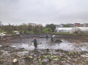 宁安河道鱼塘清淤